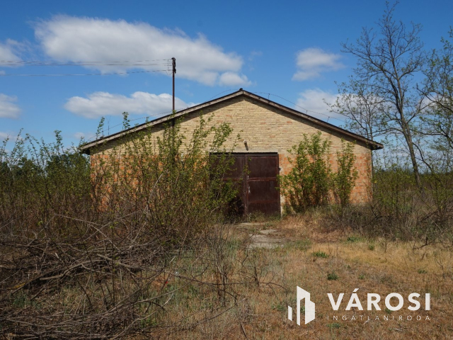 Önellátó családi gazdaság Nagykőrösön