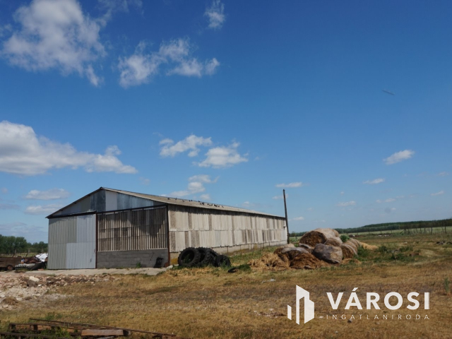 Önellátó családi gazdaság Nagykőrösön