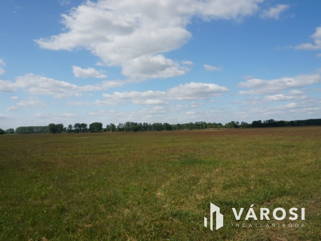 Önellátó családi gazdaság Nagykőrösön