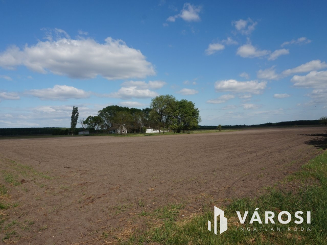 Önellátó családi gazdaság Nagykőrösön