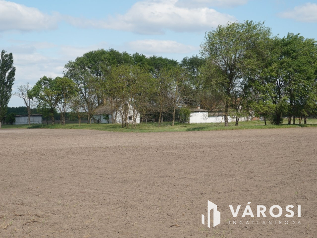 Önellátó családi gazdaság Nagykőrösön