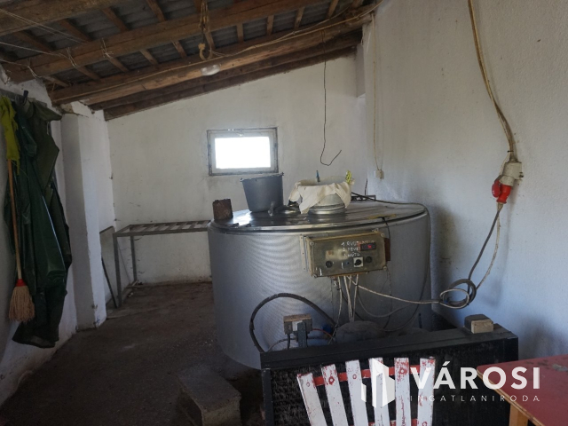 Önellátó családi gazdaság Nagykőrösön