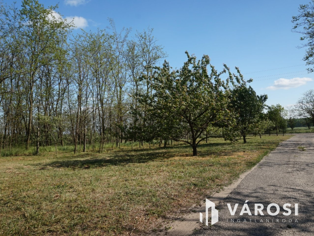 Önellátó családi gazdaság Nagykőrösön