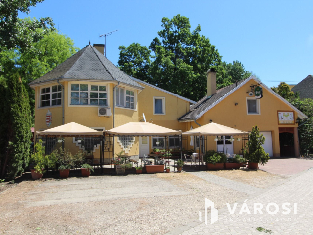 Békéscsabai paradicsom