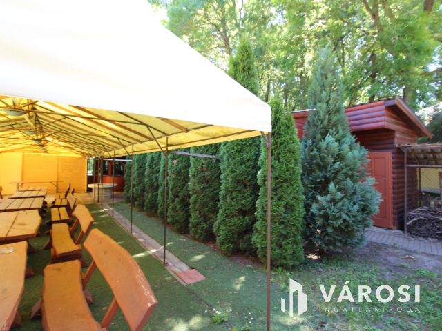 Békéscsabai paradicsom