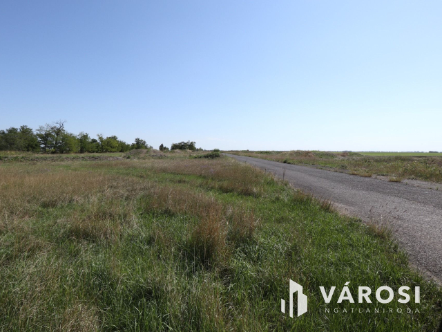 Eladó ipari telephely Orosházához közel