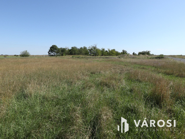 Eladó ipari telephely Orosházához közel