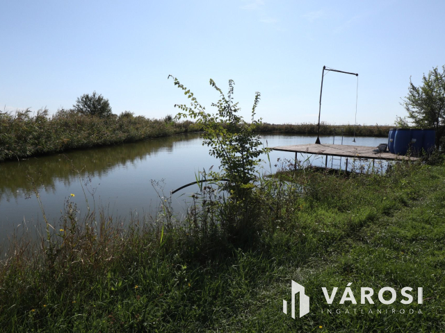 Új építésű tanya eladó