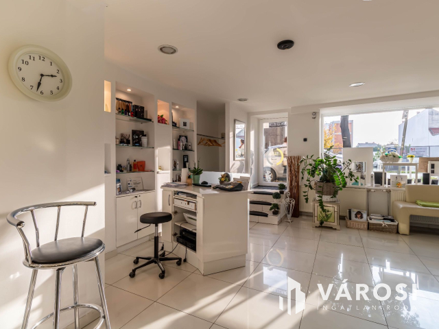 Polgári jellegű magánház Szeged belvárosában