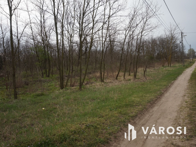 Építési telek Dabas csendes részén!