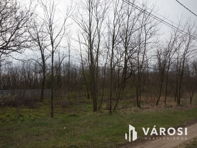 Építési telek Dabas csendes részén!