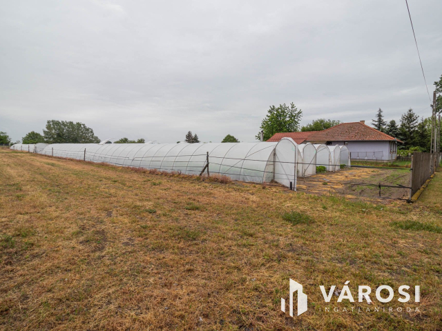 Eper termesztésre kiválóan alkalmas földterület