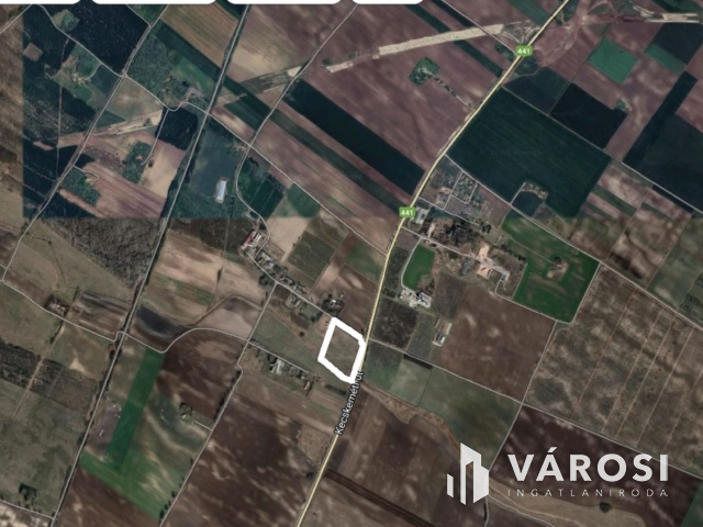 Telephelyet keres üzleti vállalkozásához?