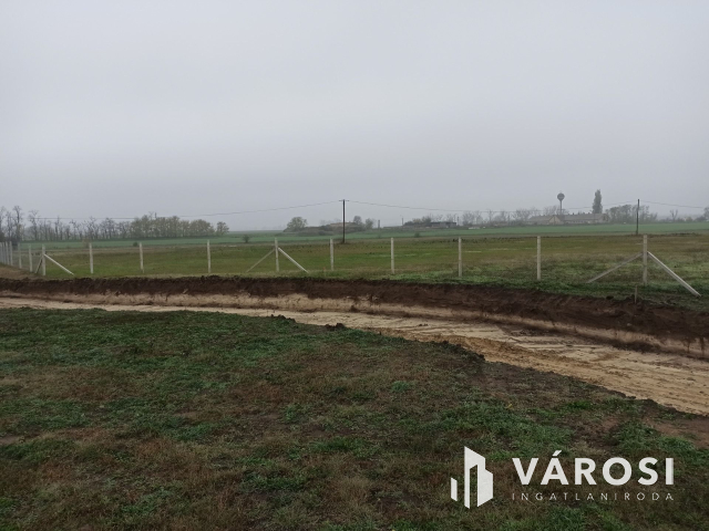 Telephelyet keres üzleti vállalkozásához?