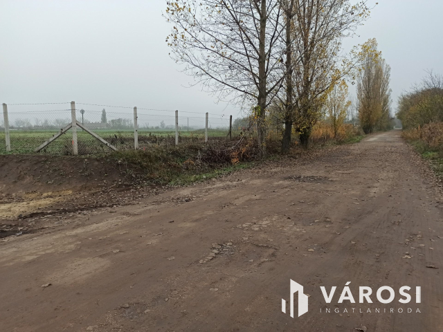 Telephelyet keres üzleti vállalkozásához?