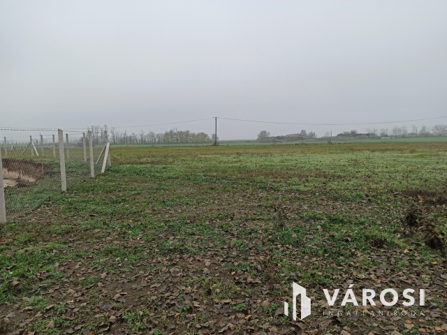 Telephelyet keres üzleti vállalkozásához?