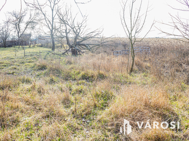 Tanya az Őszeszéki tó partján  M5-ös autópályától 2 percre