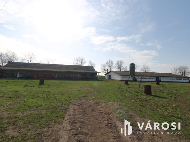 Két generációs gazdálkodásra alkalmas tanya
