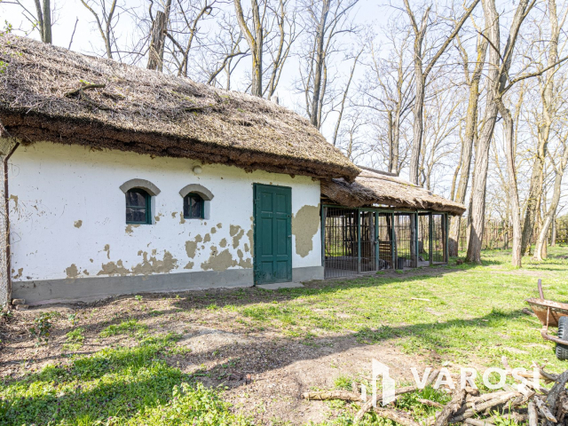 5700 m2-es telek nagy házzal, melléképületekkel Ladánybenén!