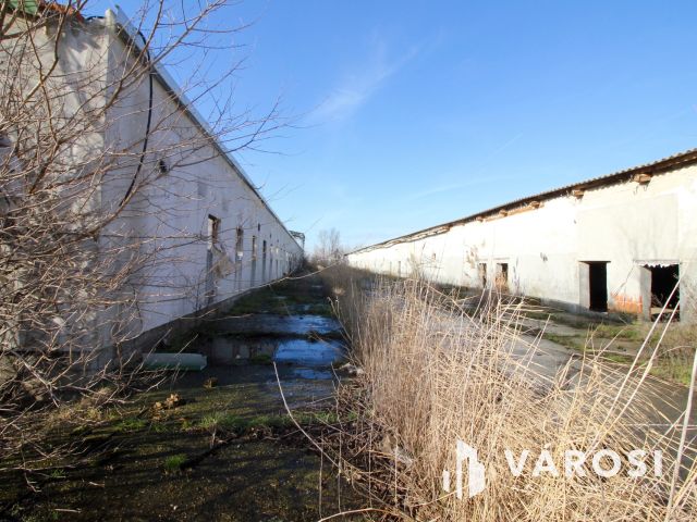 Eladó Major vásárhely határában