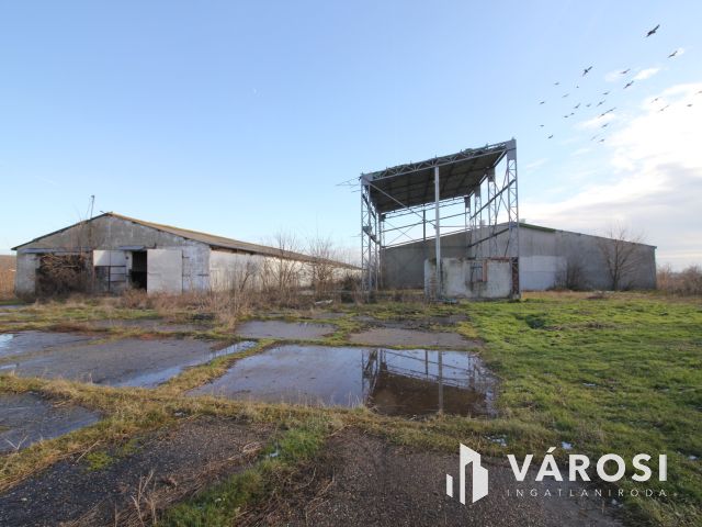 Eladó Major vásárhely határában