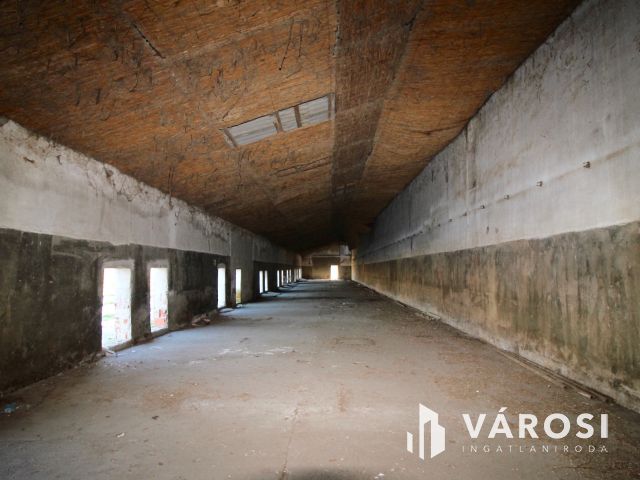 Eladó Major vásárhely határában