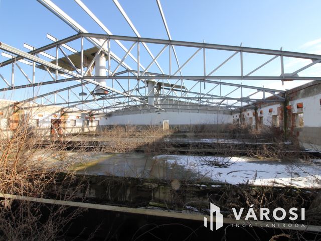 Eladó Major vásárhely határában