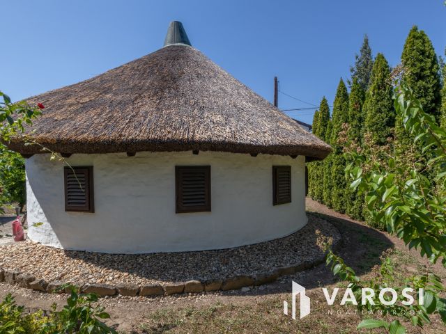 Újszegedi telek kulipintyóval