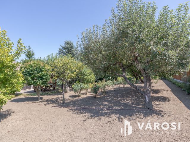 Újszegedi telek kulipintyóval