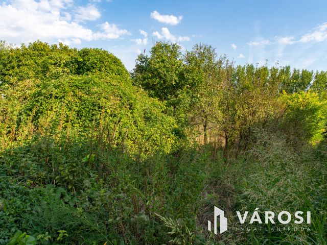 Belterületi telek Bárban eladó