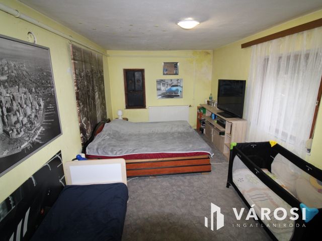 Szanazughoz közeli tanya eladó.