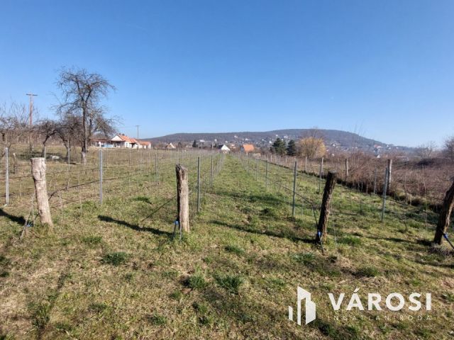 Megosztva 2 ház építésre is alkalmas zártkert Kővágóörsön
