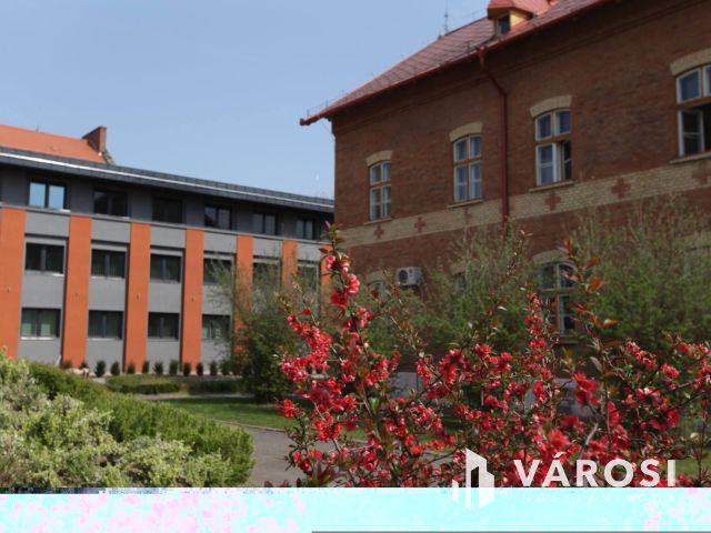 Debrecen legszebb, legjobb, irodakomplexumában kiadó irodák!