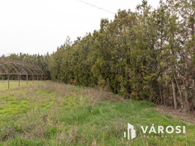 Bordányi kiskertek Eladók Fóliaházakkal