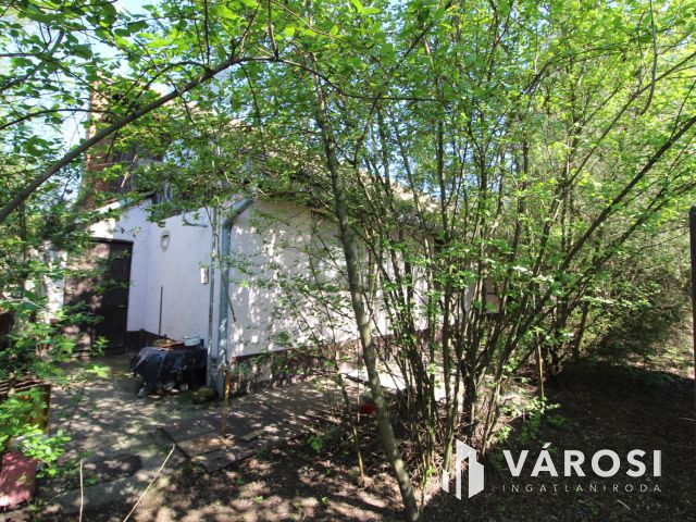 Komfortos tanya a Csongrád-bokrosi szőlővidéken