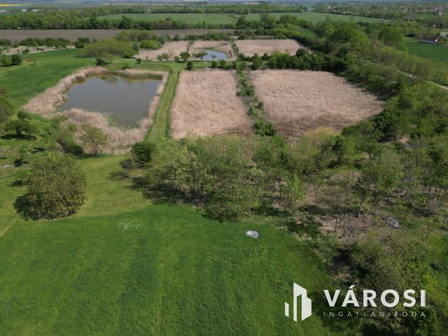 Eladó „hacienda”  Battonyán