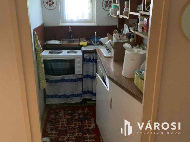 Tiszalökön, közvetlen a Tisza parton nyaraló eladó!