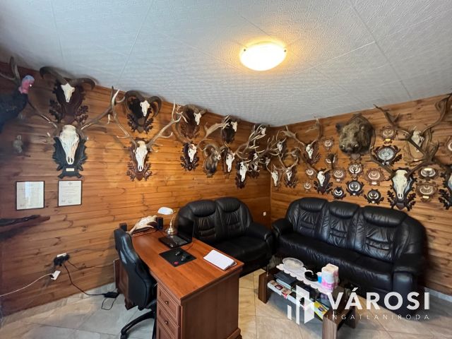 Jó helyen, jó ingatlan, jó vállalkozásnak!!!