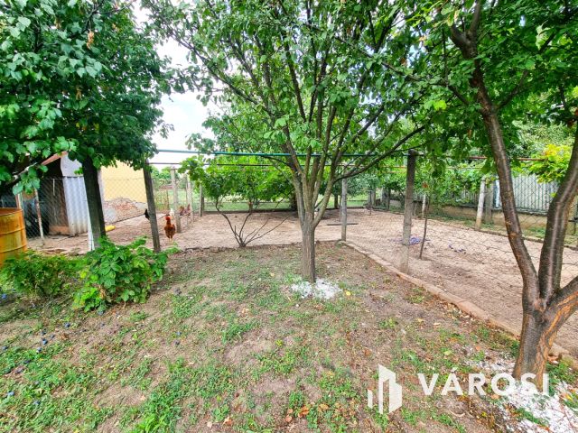 Költözhető állapotú, gondozott kertes ház, központi helyen