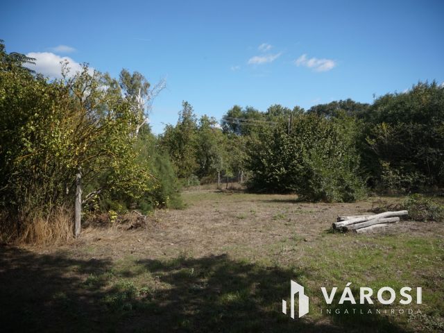 Ingatlan szinte ajándékba!