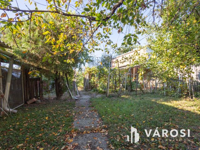 Családi ház tele lehetőséggel!