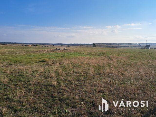 Fejlesztési lehetőség Márkón