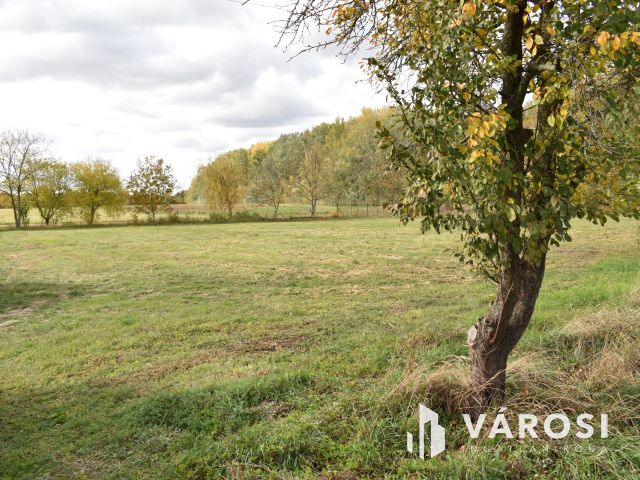 4661 m2 építési telek eladó Gyulán!