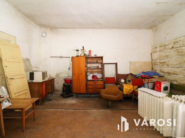 Eladó borászati ingatlan Csongrád közelében