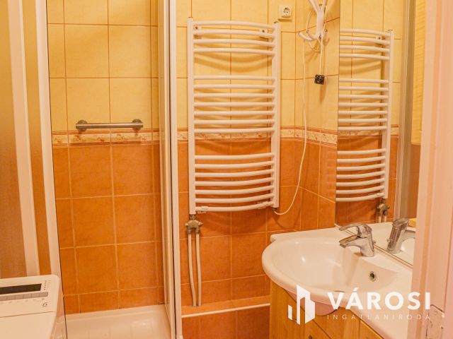 Napfényes 2 szobás  felújított a Tiszánál