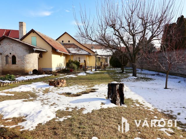 Belvárosi családi ház