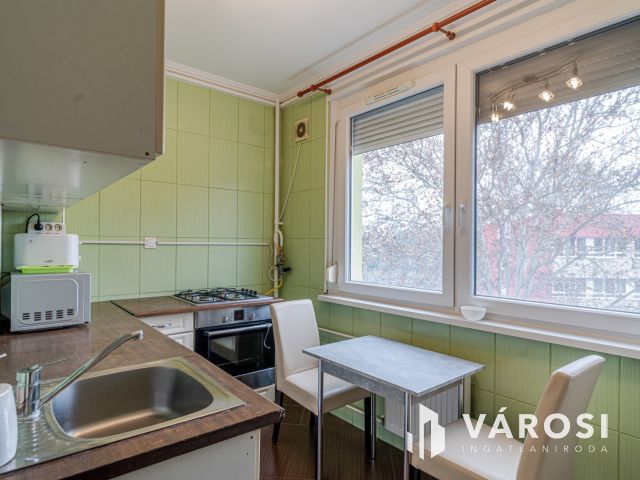 Elindult az űrverseny szegeden