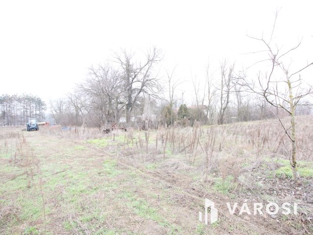 Szeretne passzív jövedelmet dióból?