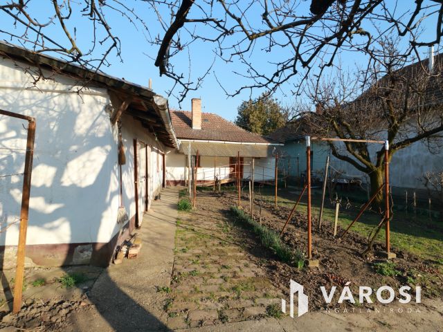 Kis családi fészek