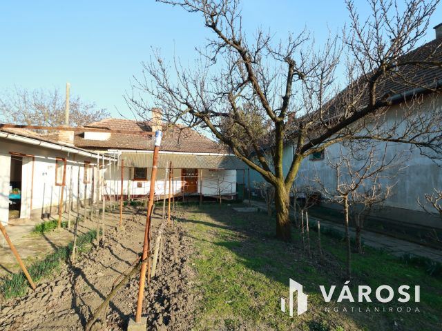 Kis családi fészek